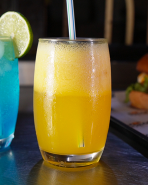 JUS PASSION BRASIL BURGER